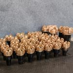 Concave Rock Borehole Polycrystalline Diamond Compact Pdc Bits