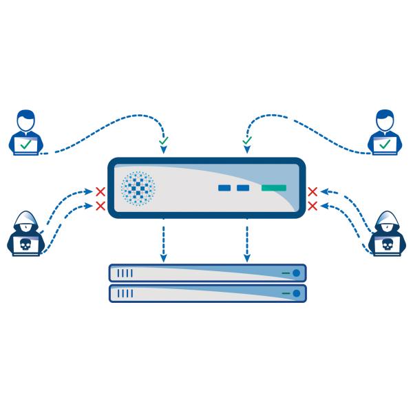 Anti DDoS Protector Inline Bypass TAP Detect Heartbeat Message Respond