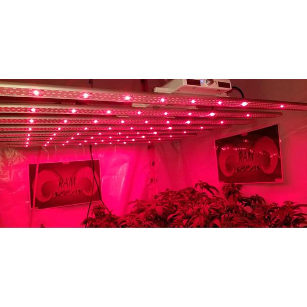 Spectrum Intelligent Led Grow Light , Programmable Grow Light 8 Bar Units