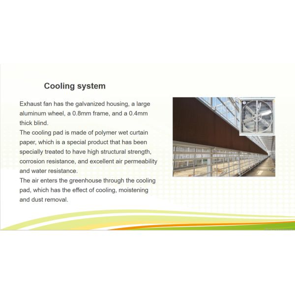 Agriculture Polycarbonate Venlo Type Greenhouse For Planting Tomatoes