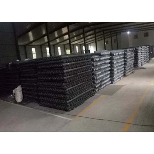 Fiberglass Insect Fly 12x12mesh 50m Window Screen Mesh Roll