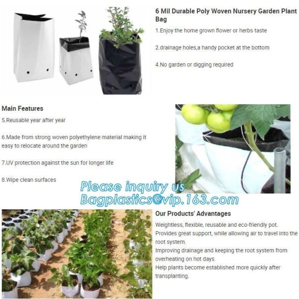 Garden used tomato plastic film cover,high light transmittance solar control seeding nursery greenhouse covers,100% virg