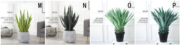 ISO Desert Snake Plant Artificial Bonsai Tree Tiger Piran Aloe Sansevieria Seeds