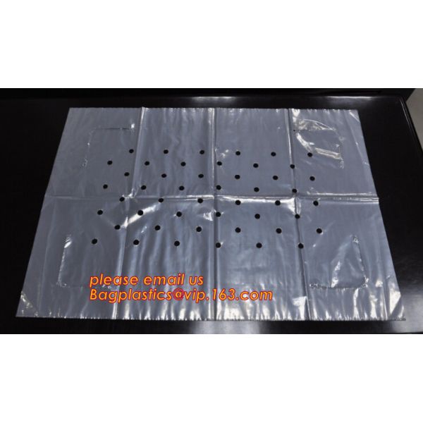 Clear Poly Sheeting Lay Flat Tubing Layflat Tubing Tubing Bags Auto Bags Polythene Sheet Polythene Packaging Film, Bagea