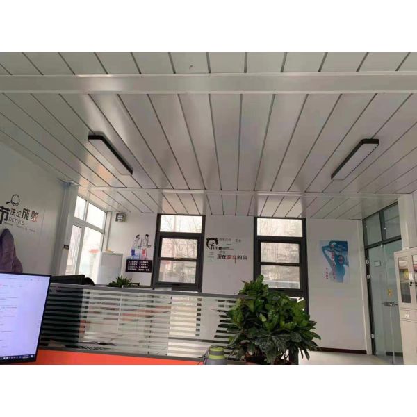 Luxury Office Building Recyclable Prefab Container House For Family Living