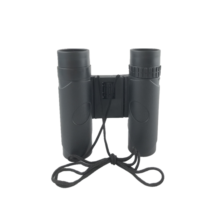 2020 Professional Cheap 10x25 8x25 Roof Prism Binoculars for Watching Opera