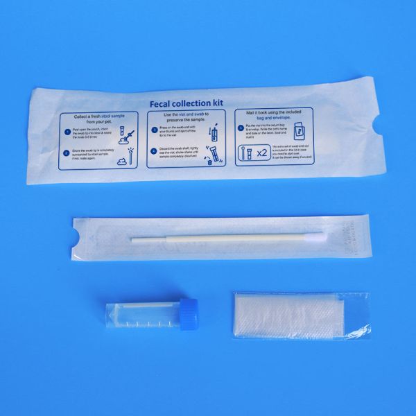 ISO13485 Polyester Fecal Collection Kit Microbiological Culture Swab Kit