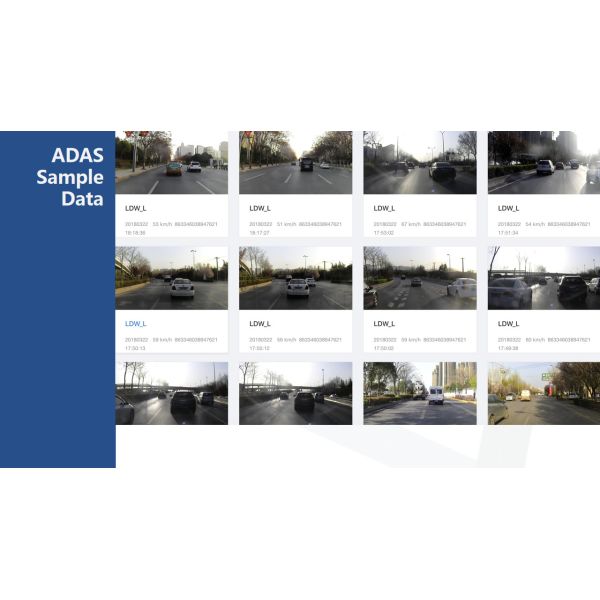 DSM Driver Fatigue System / ADAS Camera Systems MDVR 4G Transmission