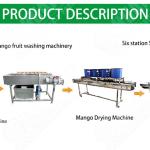Automatic Vegetable And Fruit Washing Machine Apple Juicer Machine Line
