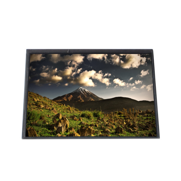 China LTN121XP01-001 12.1 inch LCD Display TFT Module wholesale