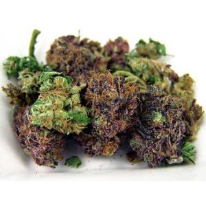 3.1umol/J UV LED Grow Lights