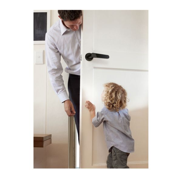 WiFi App Smart Fingerprint Door Handle Lock Identification Time 0.1S