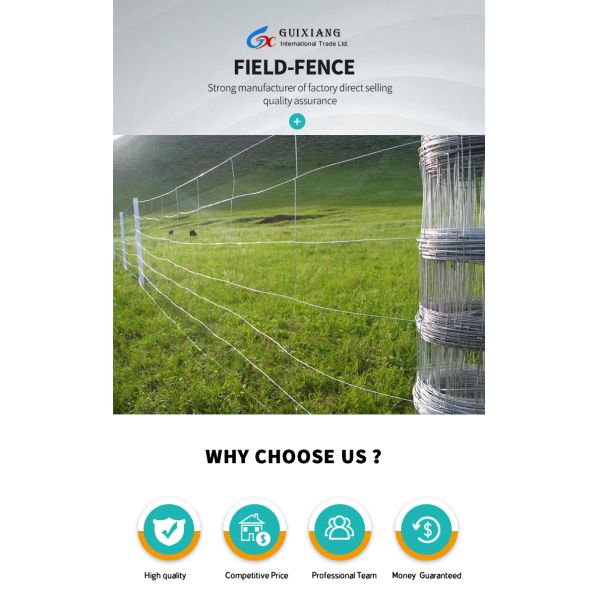 Anping manufacturers directly sell galvanized rust-proof wire mesh breeding fence fence cattle and sheep block