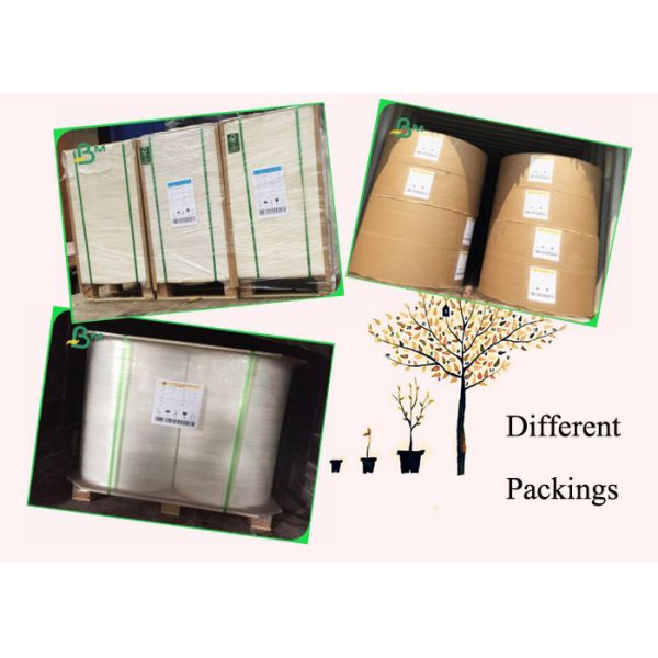 80g 100g UWF Uncoated Woodfree Paper Packing In Rolls Can PE Coated 1000mm