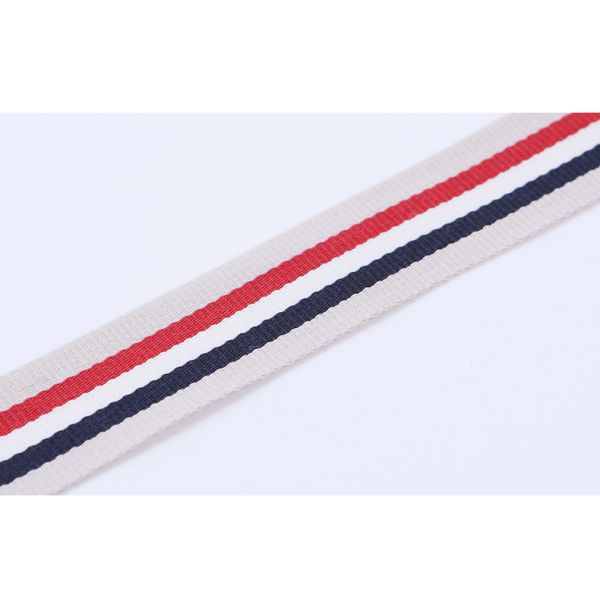 Decorative Polyester Seatbelt Webbing 2cm Poly Cotton Webbing