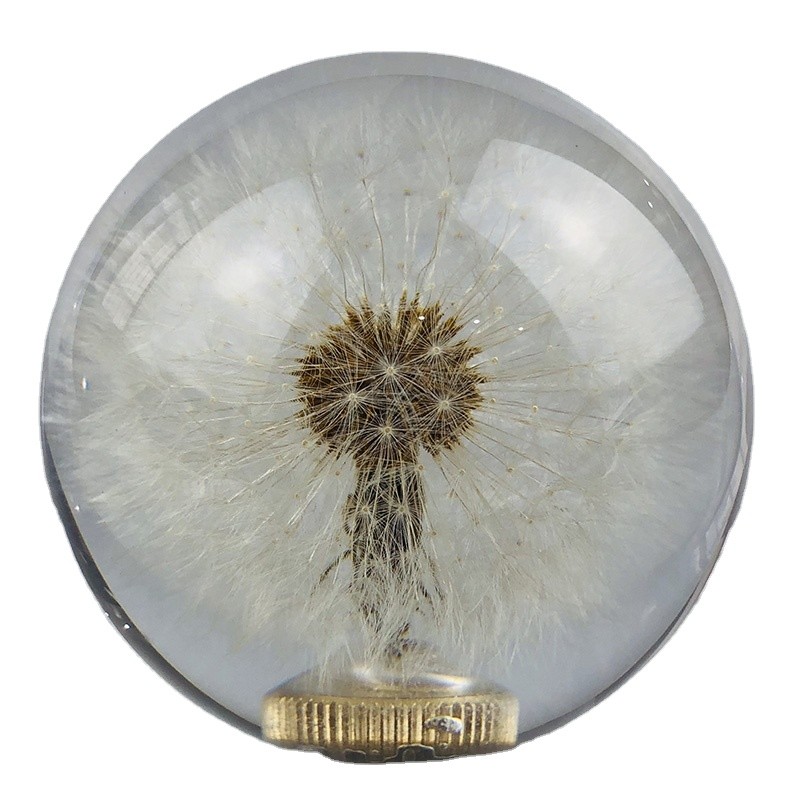 China Gear shift knob with real dandelion inside wholesale