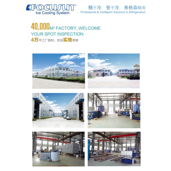 Customized Bar Size Industrial Ice Maker Machine Producing 30 Tons per Day Efficiency