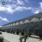 10.8m Polycarbonate Aluminium Greenhouse With Dome Roof Customized