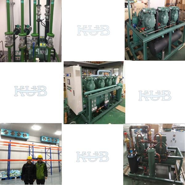 3HP Water Cooled Condensing Unit 380V 50HZ for Cold Storage