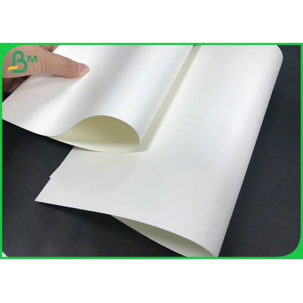 Single Side PE Coating 150gsm To 300gsm Cup Paper Rolls for Drinking cup Single Side PE Coating 150gsm To 300gsm Cup Paper Rolls for Drinking cup