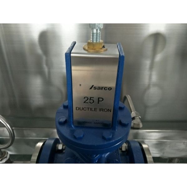 Depend Machine Capacity Plate Juice UHT Sterilizer Milk Pasteurizer Machine in Polish