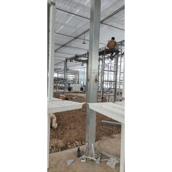 Vertical Farming Hanging Plant Hydroponic Intelligence Farming