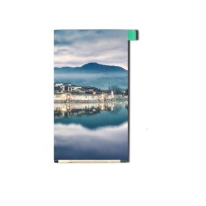 CE 3.0Inch 480X854 Pixels IPS TFT LCD Display