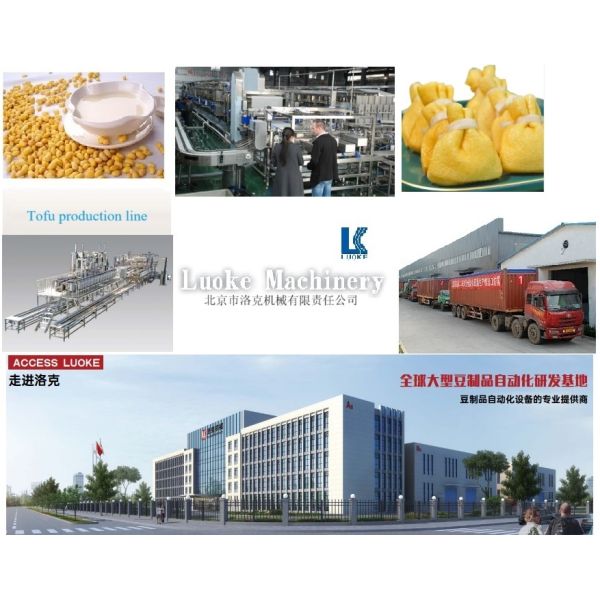 1000 KG Frying Equipment For Tofu Fired Bean Curd Machine OEM