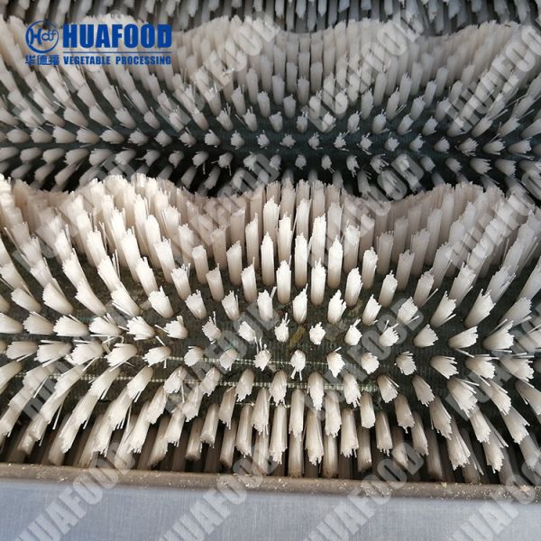 Watermelon 304SUS Brush Cleaning Machine