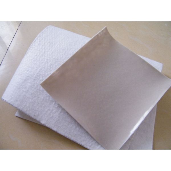 Anti Seepage HDPE Geomembrane Composited Membrane Agricultural Geomembranas For Fish Farming