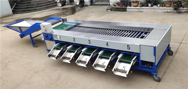 China potato grading machine, potato sorting machine wholesale