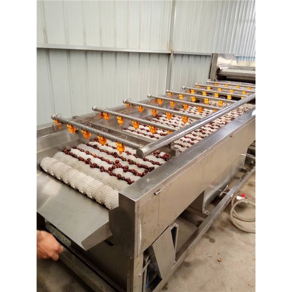 High Pressure Brush Potato Washing Machine , Fruit And Vegetable Cleaner Machine