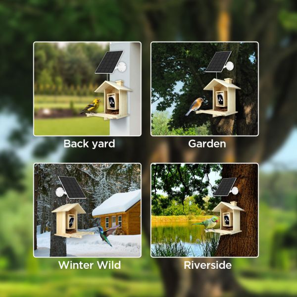 4MP Solar Wireless Battery Outdoor Waterproof New Trend Smart Bird Feeder With Camera Outside Bird House With WIFI