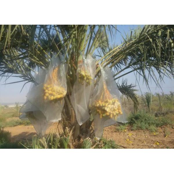 PE Woven Mesh Bags Printed Monofilament Mesh Sacks Wire Mesh Bags