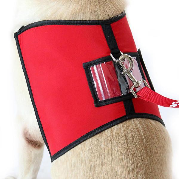 Soft Padde Neoprene Dog Vest , Classic Solid Neoprene Harness Vest For Small Dogs