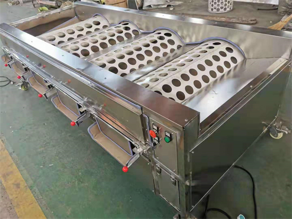 apple grading machine, citrus sorting machine, lemon grader sorter