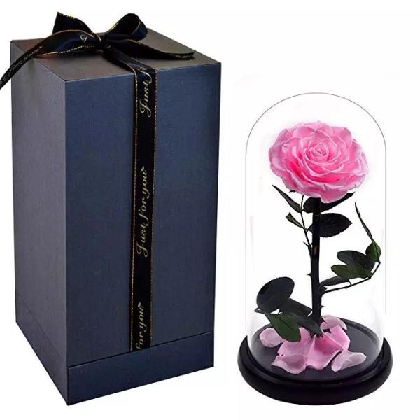 Preserved Flower Eternal Rose in Glass Long Lasting Flowers Home Decoration Everlasting Flowers