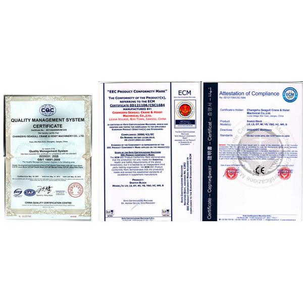 Industrial Manual Lifting Equipment Single Sheave Snatch Block 5 Ton With Eye