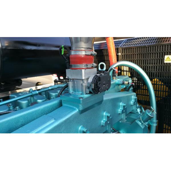 Silent Natural Gas LPG Generator as Home Standby Generator