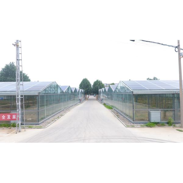 Residential 300 Watt Monocrystalline Solar Panel