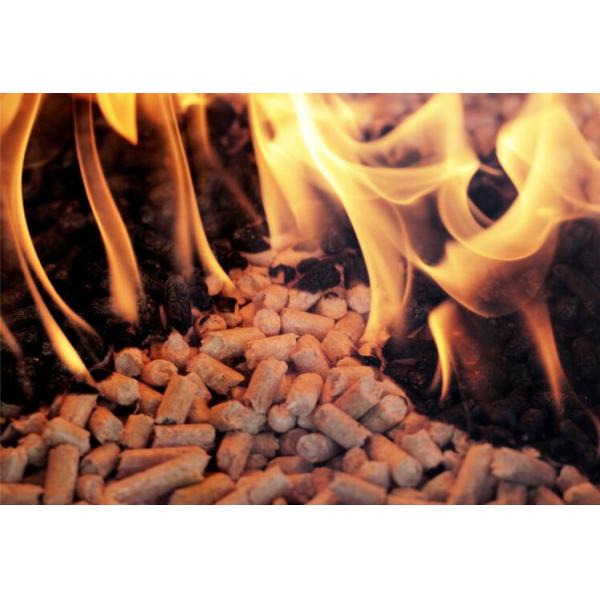 6 Ton Firewood Biomass Pellet Fired Steam Boiler Automatic Industrial Boilers