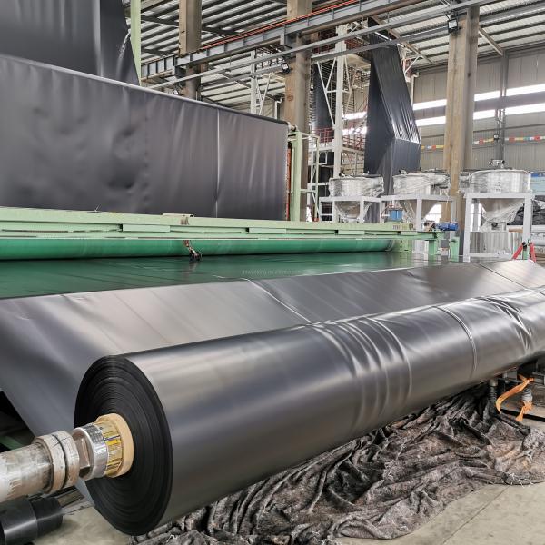 Fish/Shrimp Pond Liner 0.2-4mm Thickness Smooth/Textured HDPE/LLDPE/LDPE Geomembranes