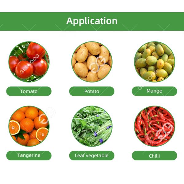 CE Certified Stainless Steel Commercial Vegetable Washing Cutting Machine Vegetable Processing Unit