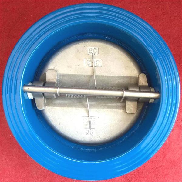 Marine Dual check valve