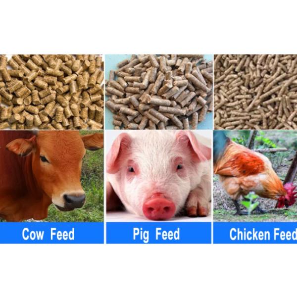 Movable 180kg/H Animal Feed Pellet Making Machine Household