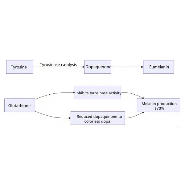 Oral Glutathione Capsule 60pcs Source Blocking Reverse Reduction Of Melanin