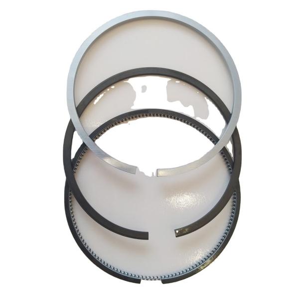 20460011 Mahle Engine Parts D6D Piston Ring For VOLVO EW160B Excavator