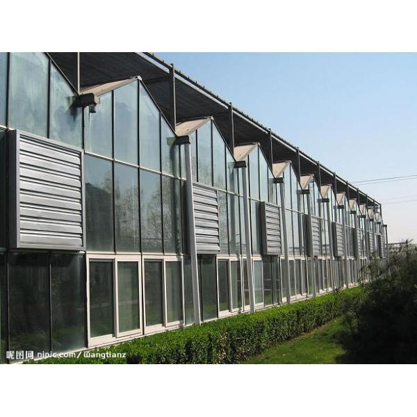 Industrial Wall Mounted Drop Hammer Fan Negative Pressure Hammer Ventilation Exhaust Fan with CE Certificate