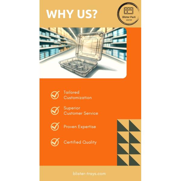 Disposable Two-Compartment Food Container PP Plastic Bento Lunch Box for Takeout Custom Order