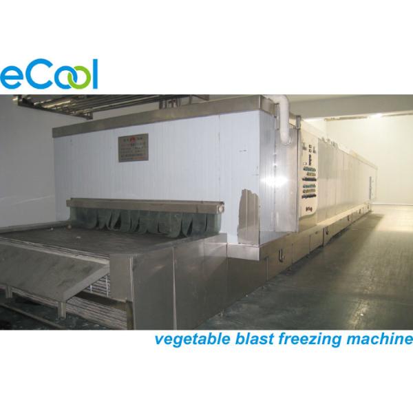 Steel Sheets Multipurpose Cold Storage , Cold Room Warehouse With Blast Freezer Machine